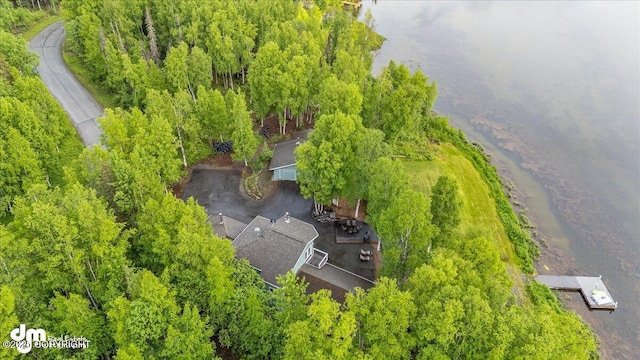 13598 N Willow Dr, Willow, AK 99688 - aerial view