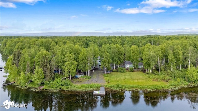13598 N Willow Dr, Willow, AK 99688 - drone / aerial view featuring a water view and a forest view