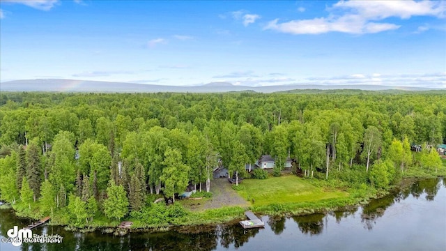 13598 N Willow Dr, Willow, AK 99688 - drone / aerial view featuring a view of trees and a water and mountain view