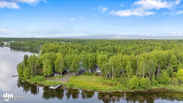 13598 N Willow Dr, Willow, AK 99688 - drone / aerial view with a wooded view and a water view