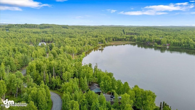 13598 N Willow Dr, Willow, AK 99688 - birds eye view of property with a wooded view and a water view