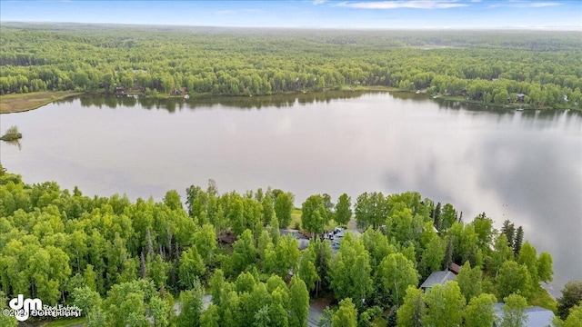 13598 N Willow Dr, Willow, AK 99688 - drone / aerial view with a forest view and a water view