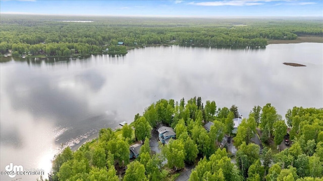 13598 N Willow Dr, Willow, AK 99688 - drone / aerial view featuring a wooded view and a water view