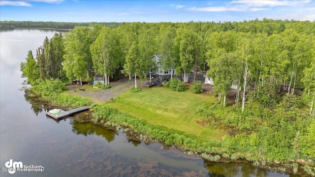 13598 N Willow Dr, Willow, AK 99688 - aerial view featuring a water view and a view of trees