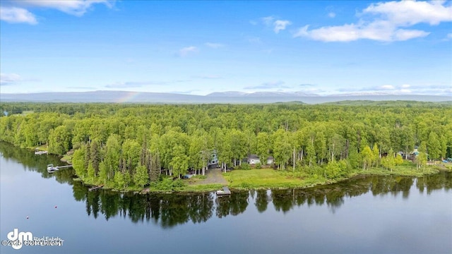 13598 N Willow Dr, Willow, AK 99688 - bird's eye view with a wooded view and a water view
