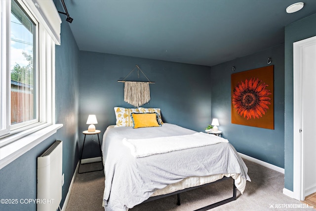1602 Richardson Dr, Anchorage, AK 99504 - bedroom featuring baseboards and carpet