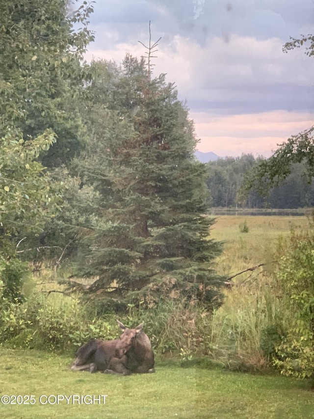 6537 Air Guard Rd, Anchorage, AK 99502 - view of yard at dusk