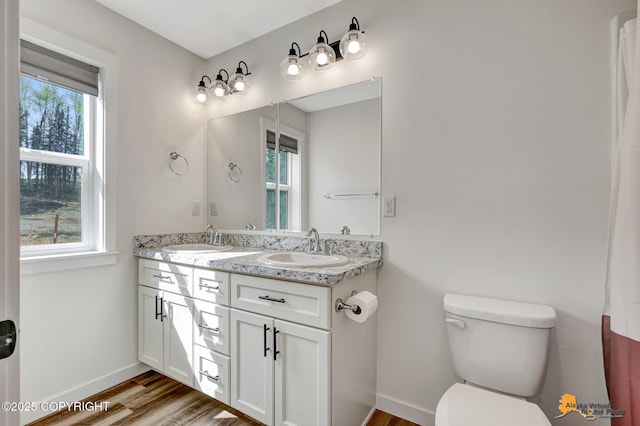 full bathroom with toilet, healthy amount of natural light, wood finished floors, and double vanity