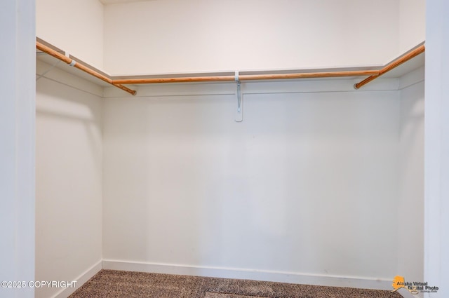 spacious closet with carpet flooring