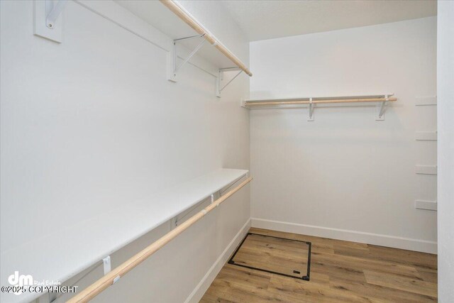 spacious closet with wood finished floors