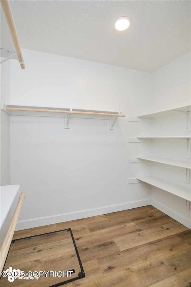 walk in closet featuring wood finished floors