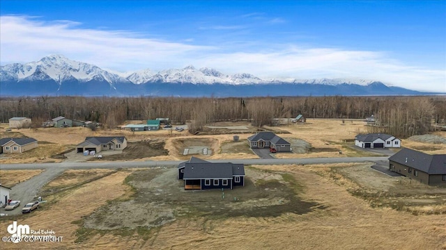 drone / aerial view with a mountain view