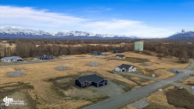 birds eye view of property with a mountain view