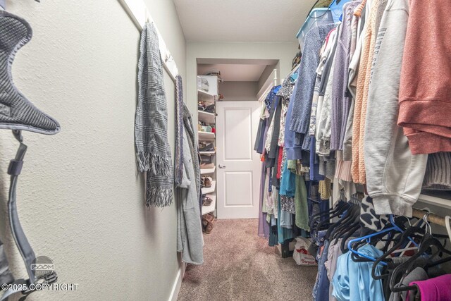spacious closet with carpet