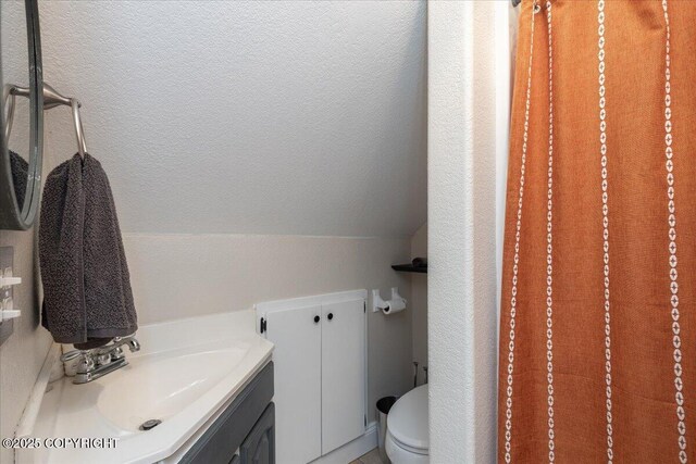 910 Refinery Loop, North Pole, AK 99705 - bathroom featuring toilet, vanity, and lofted ceiling
