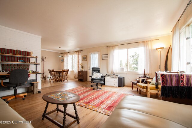 414 Bonanza Ave, Homer, AK 99603 - living room featuring an office area, plenty of natural light, light wood finished floors, and crown molding