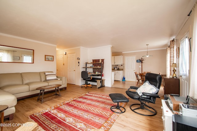 414 Bonanza Ave, Homer, AK 99603 - living area with light wood-style floors, crown molding, and an office area