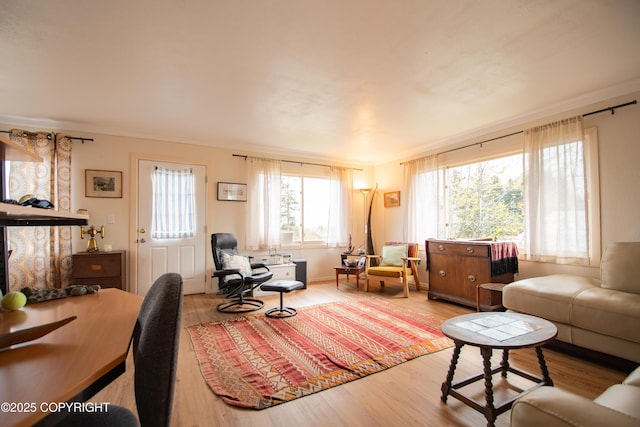 414 Bonanza Ave, Homer, AK 99603 - living room featuring wood finished floors