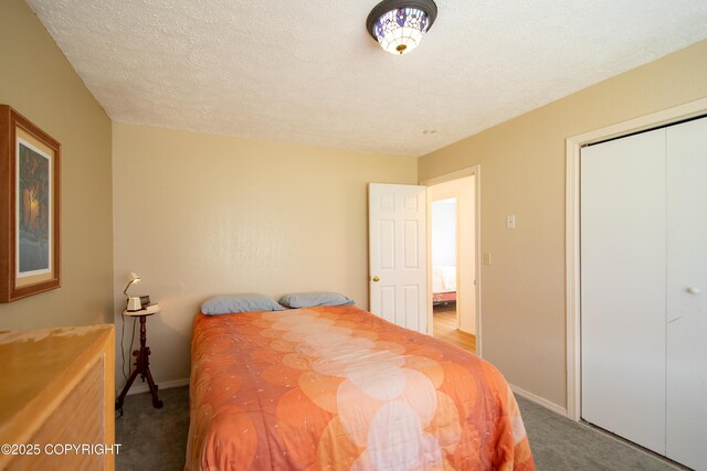 414 Bonanza Ave, Homer, AK 99603 - bedroom with carpet, baseboards, and a closet