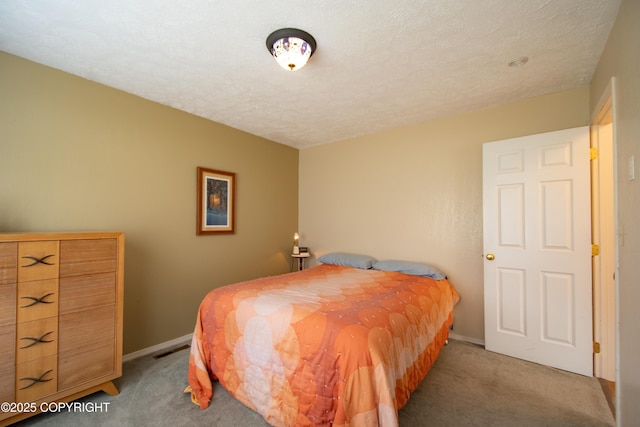 414 Bonanza Ave, Homer, AK 99603 - bedroom with carpet, baseboards, and a textured ceiling