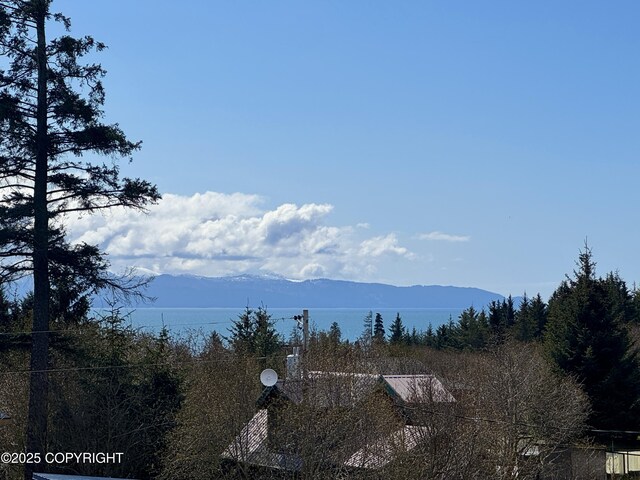 414 Bonanza Ave, Homer, AK 99603 - view of mountain background