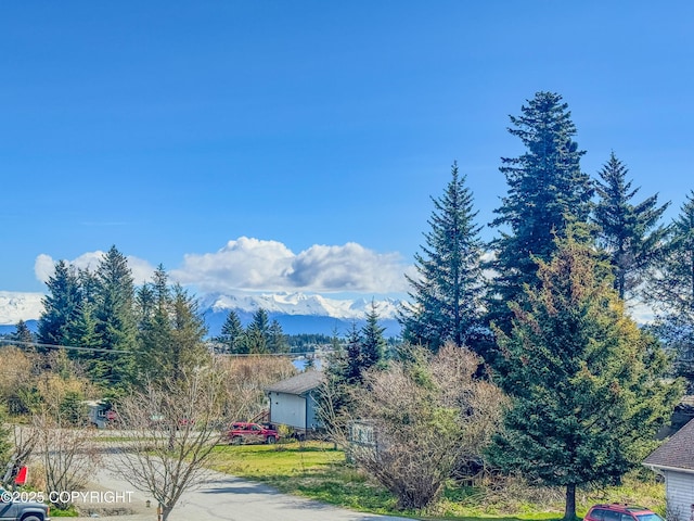414 Bonanza Ave, Homer, AK 99603 - view of mountain background