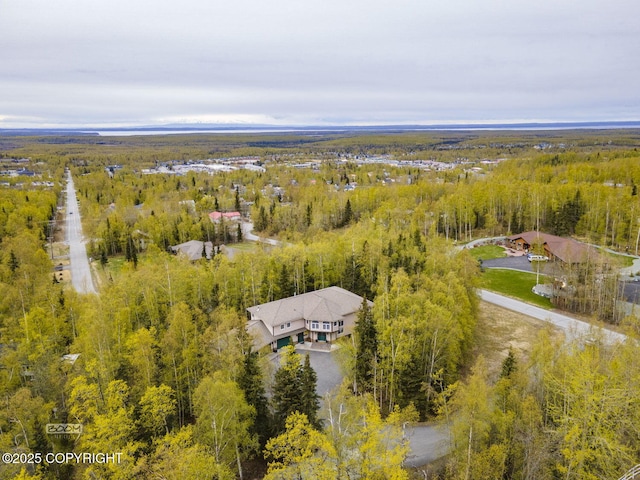 bird's eye view of a forest