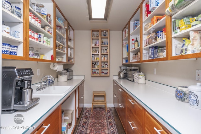 pantry with a sink