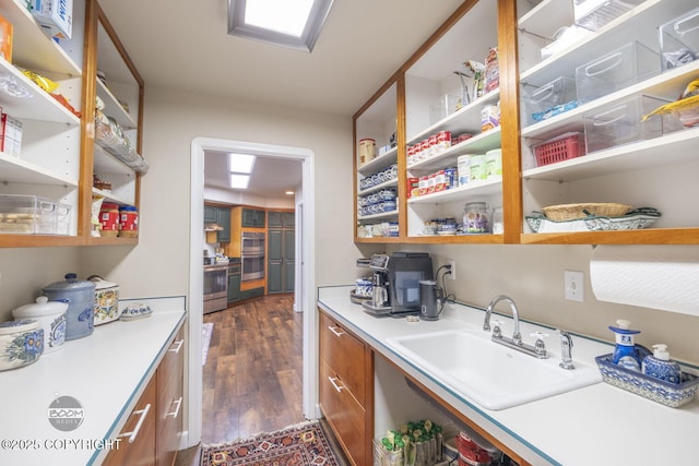 storage area with a sink