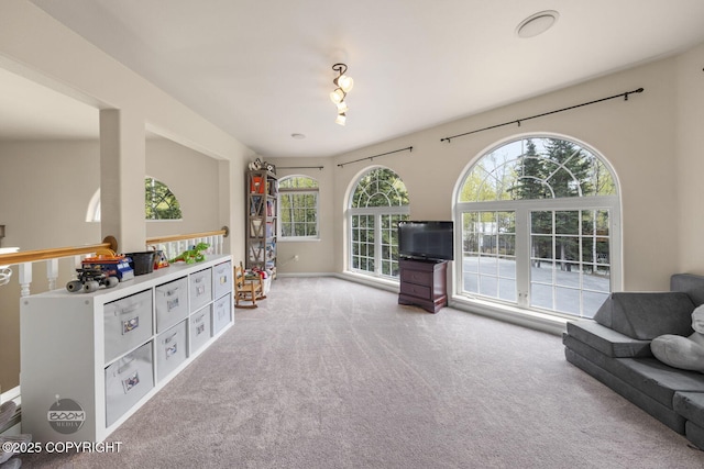 rec room with carpet floors