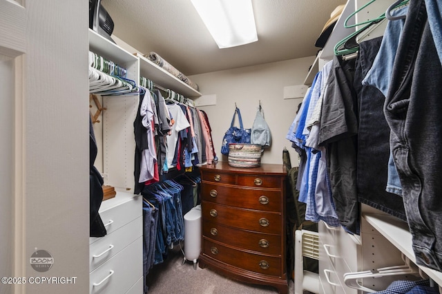 spacious closet with carpet flooring
