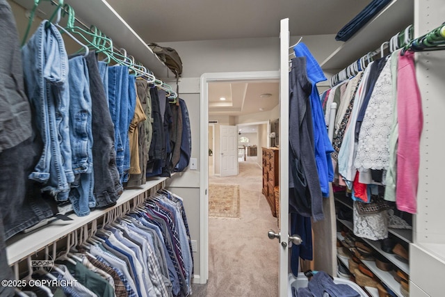 walk in closet featuring carpet floors