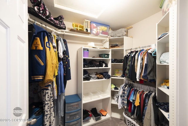 walk in closet featuring carpet flooring