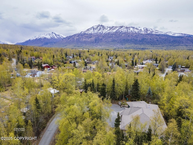 bird's eye view of a forest and a mountainous background