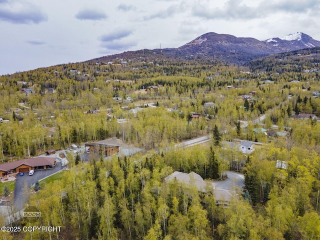 aerial overview of property's location with a mountainous background and a forest