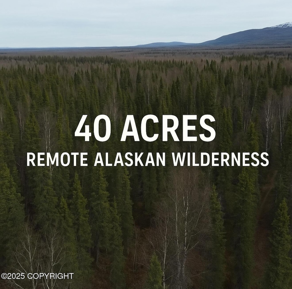 D001 W No Rd, Wasilla, AK 99654
