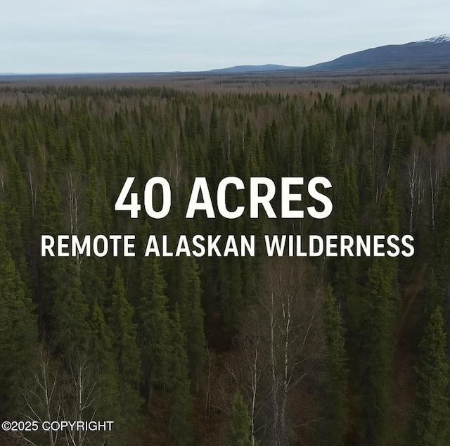 D001 W No Rd, Wasilla, AK 99654