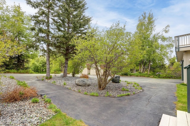 13120 Saunders Rd, Anchorage, AK 99516 - view of property's community