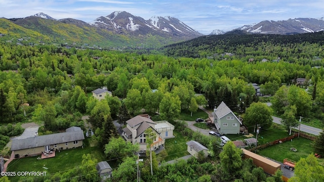 13120 Saunders Rd, Anchorage, AK 99516 - bird's eye view of a forest and a mountainous background