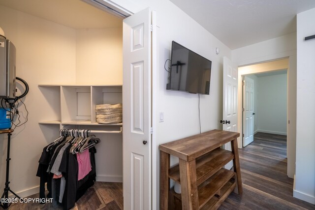 spacious closet with dark wood-style flooring