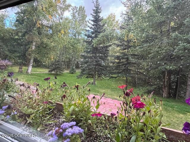 22539 Needles Loop, Chugiak, AK 99567 - view of yard
