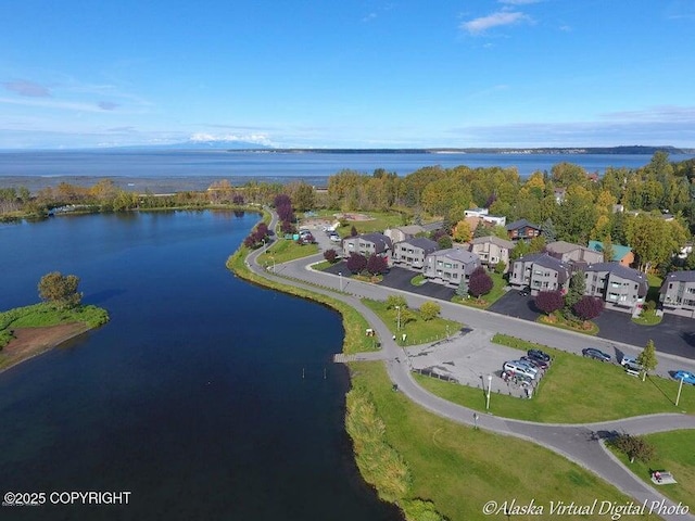 drone / aerial view with a water view and a residential view
