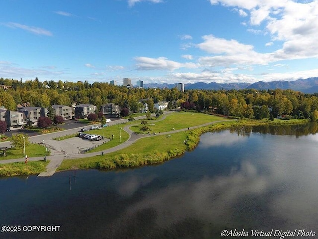 bird's eye view featuring a water and mountain view
