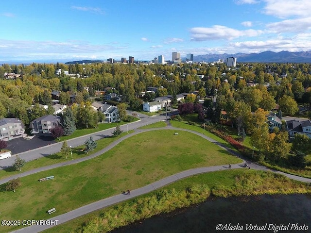 bird's eye view with a mountain view