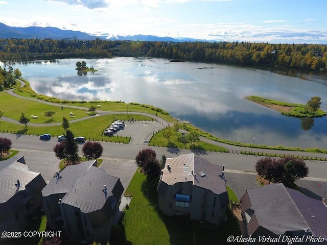 aerial view with a water view and a wooded view