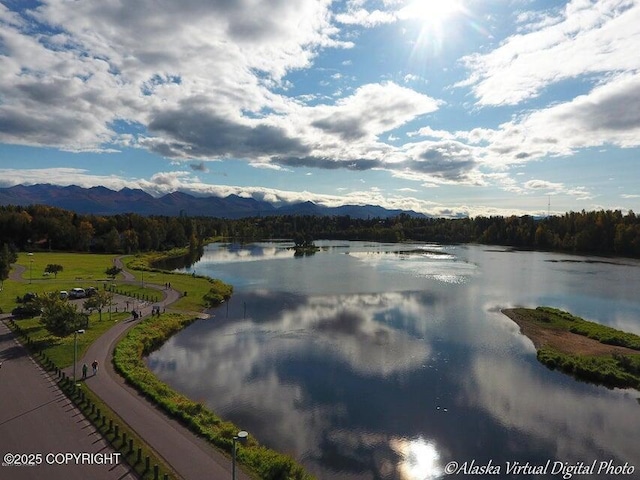 property view of water featuring a view of trees and a mountain view