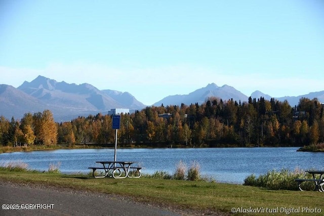 water view featuring a mountain view and a wooded view