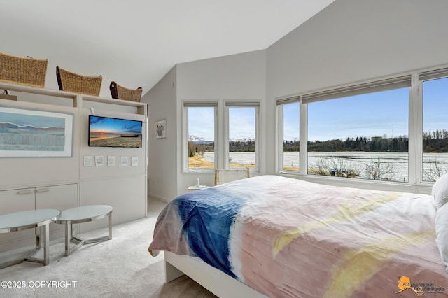 carpeted bedroom with vaulted ceiling