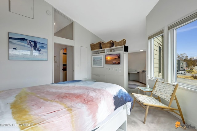 carpeted bedroom with high vaulted ceiling