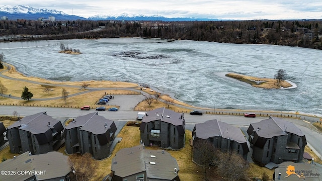aerial view featuring a view of trees and a water and mountain view